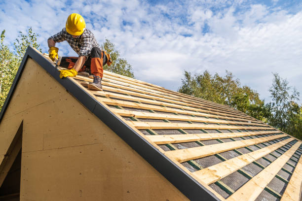 Best Flat Roof Repair Services  in Langley Park, MD