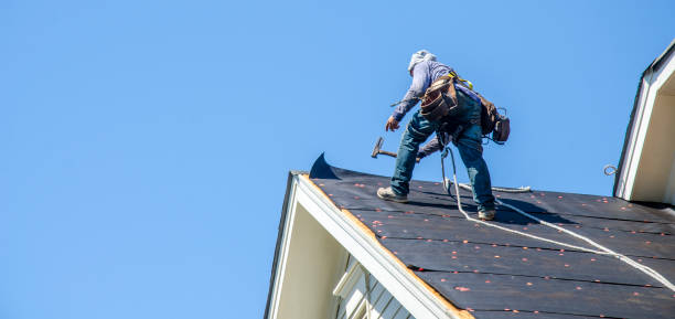 Roof Gutter Cleaning in Langley Park, MD